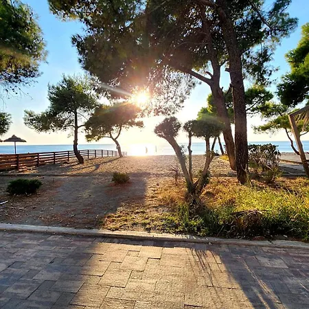 Seaside Comfort Appartement